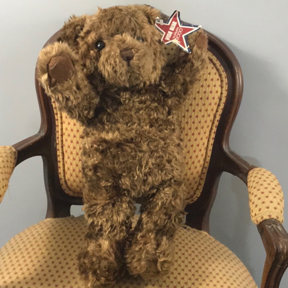 GUND 2000 Wish Bear limited edition 15 inches Original tags